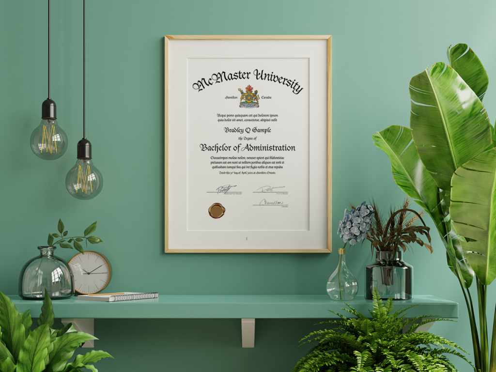 A framed McMaster University diploma hanging on a green wall, surrounded by decor elements including hanging light bulbs, potted plants, and a shelf with books and decorative items. The diploma is prominently featured, showcasing the name 